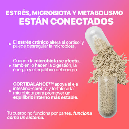 Pack Cortisol Balance